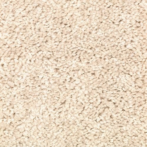 Honey Bun from Capital Carpet LLC